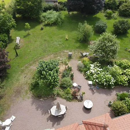 Bed & Breakfast D'hotes Jolie Futaie En Foret De Troncais